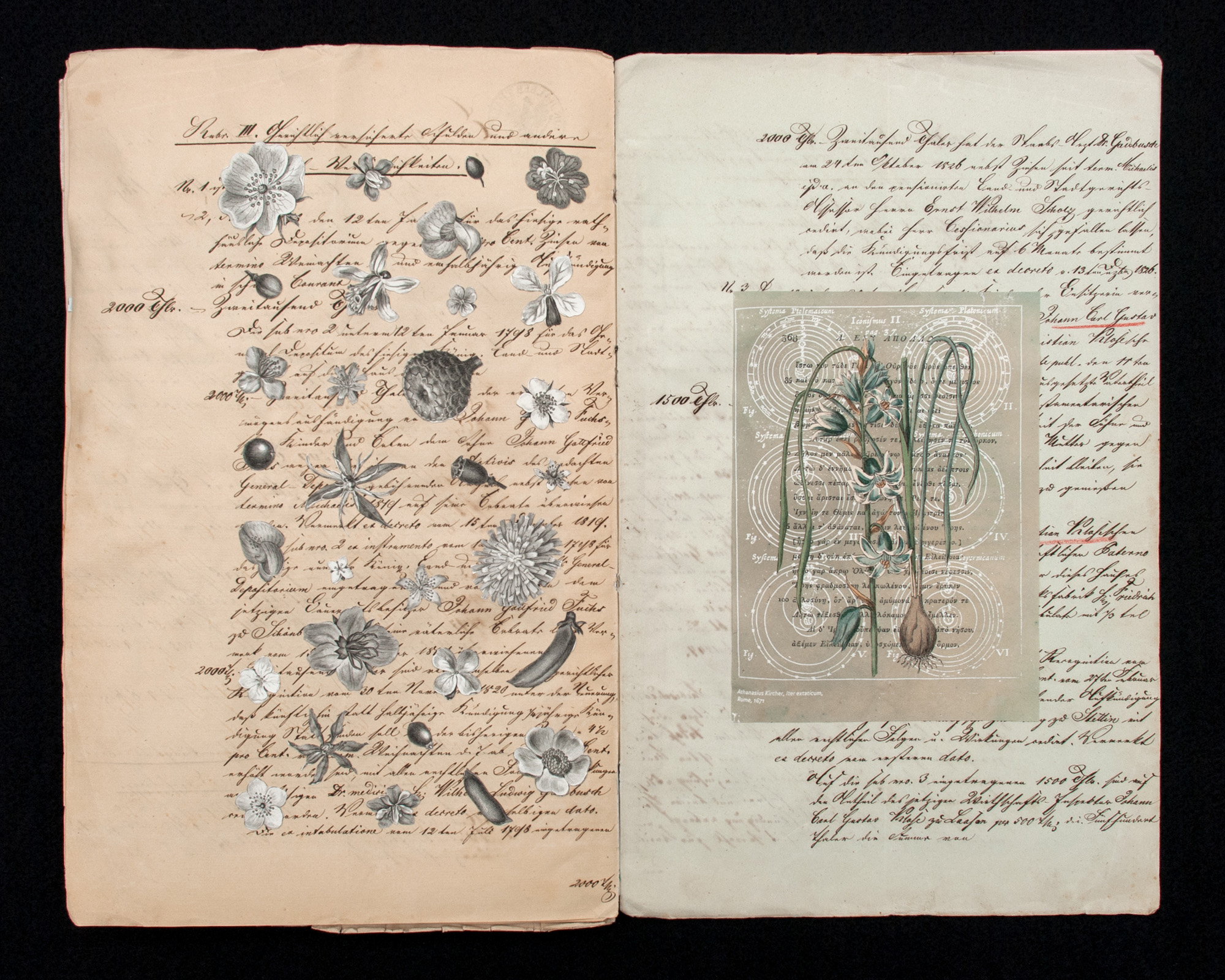 Field Notes – Billy Renkl