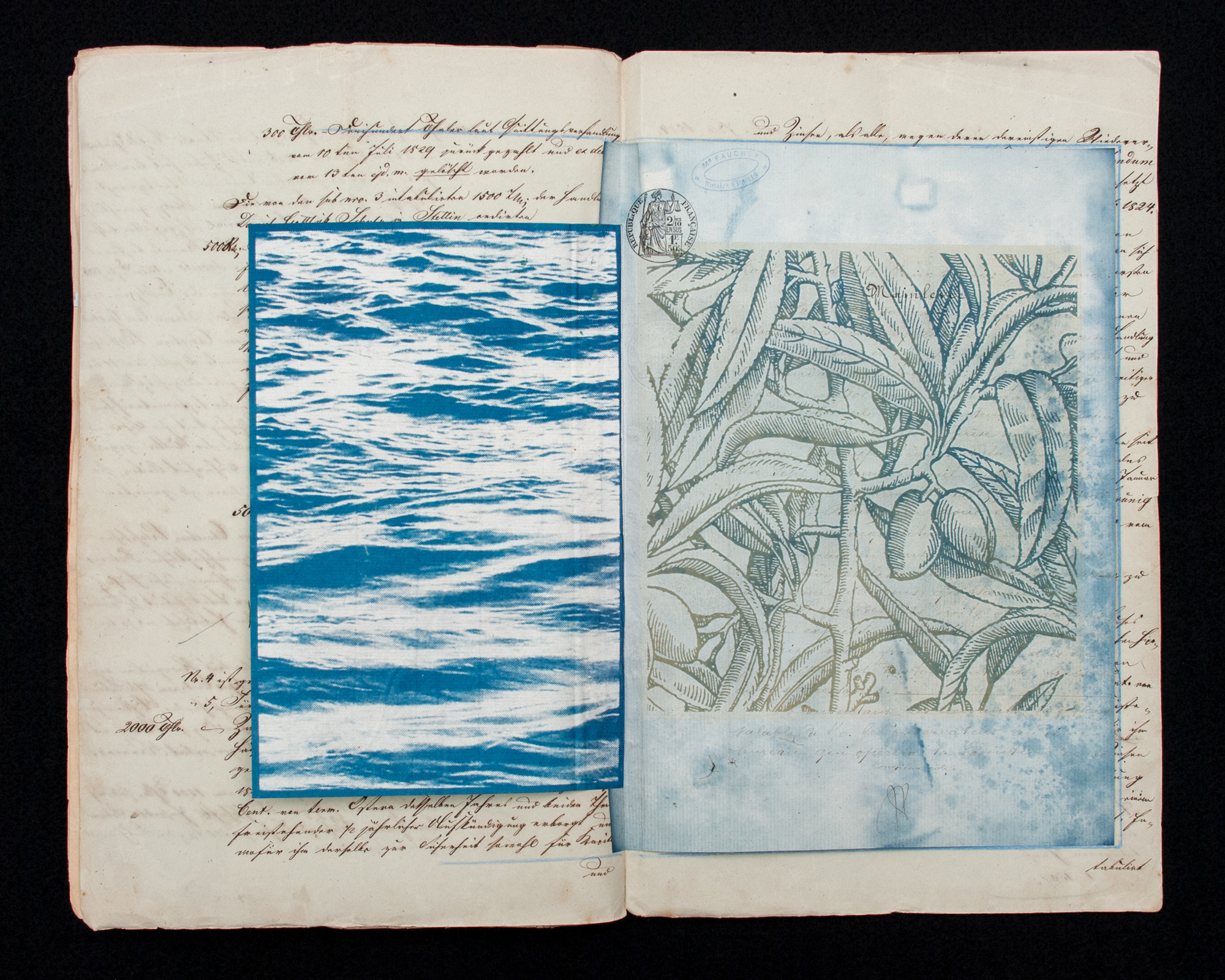 Field Notes – Billy Renkl